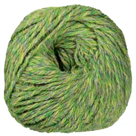 Jamieson's of Shetland Marl Chunky Yarn - 2109 Gooseberry