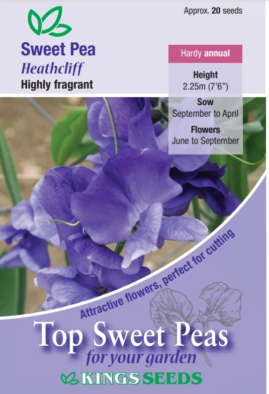 Kings Seeds Sweet Pea Heathcliff 20 Seeds