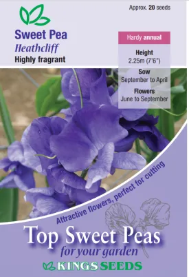 Kings Seeds Sweet Pea Heathcliff 20 Seeds