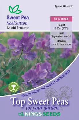 Kings Seeds Sweet Pea Noel Sutton 20 Seeds