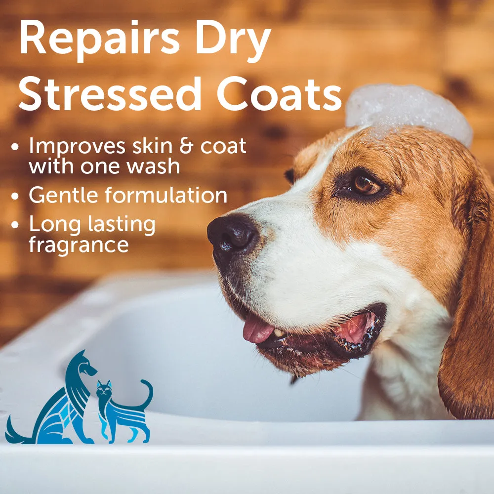 Nourishing Jojoba Oil Pet Shampoo | Sweet Pea & Vanilla