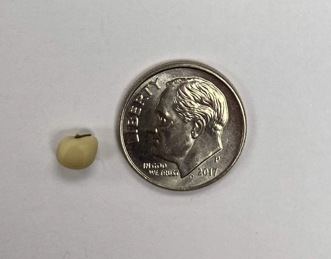 Southern Pea Seeds - White Rice